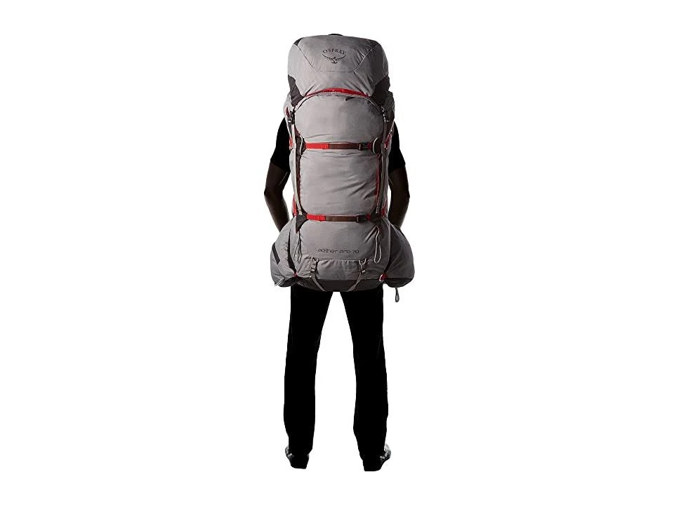 Osprey Aether Pro 70 Kepler Grey