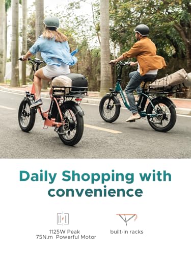 ENGWE 1125W/750W Electric Bike for Adults, L20 2.0 20''×3.0" Fat Tire Electric Bicycle 52V/36V 13Ah Removable Battery Max Range 68/62Miles & 28/20MPH for Urban Commuters, Dual Suspension