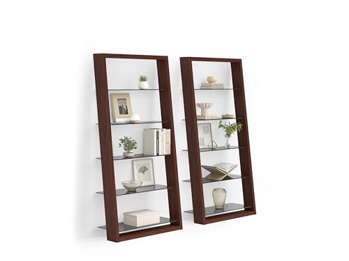 BDI Furniture Eileen 5166-74" x 34.25'' Leaning Shelf for Living Room, Family Room or Office with 5 Polished Tempered Glass Shelves, Charcoal Stained Ash