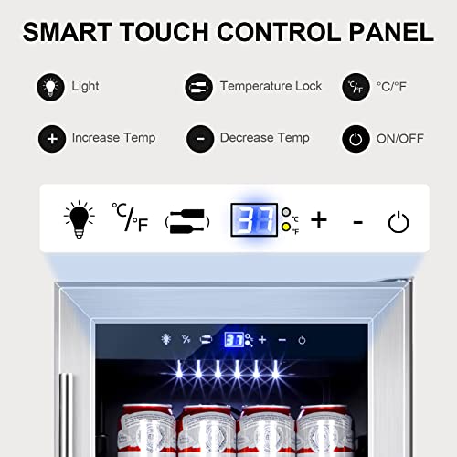 Tylza Mini Fridge 15 Inch Wine Cooler Under Counter, 30 Bottle Dual Zone Wine Fridge with Stainless Steel, Wine Refrigerator Freestanding, and Built-in Wine Cellars TYWC100