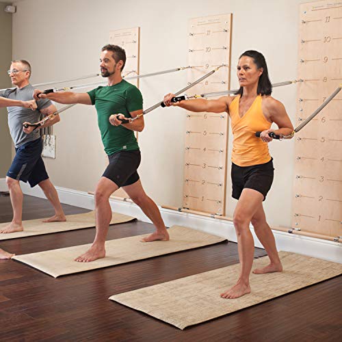 Balanced Body Pilates Springboard and Push-Through Bar