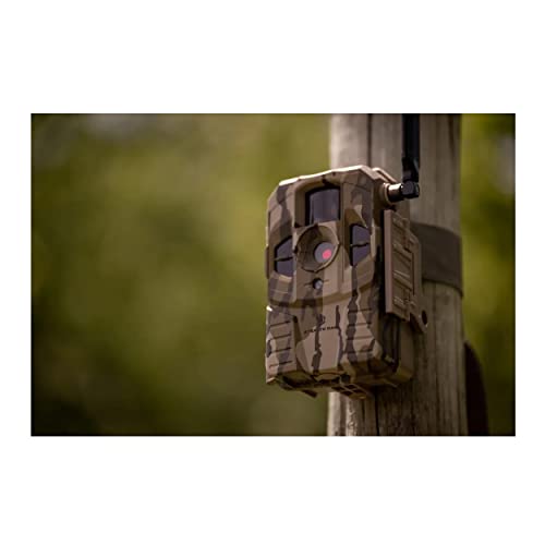 Stealth Cam Connect Cellular Trail Camera (AT&T, 2-Pack) Bundle with 32GB Ultra SDHC UHS-I Memory Card (100MB/s, 2-Pack) and All-in-One High-Speed Card Reader (5 Items)