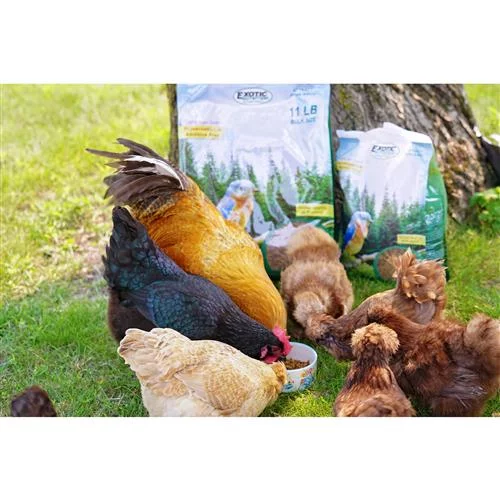 Exotic Nutrition Dried Mealworms 22 lb.