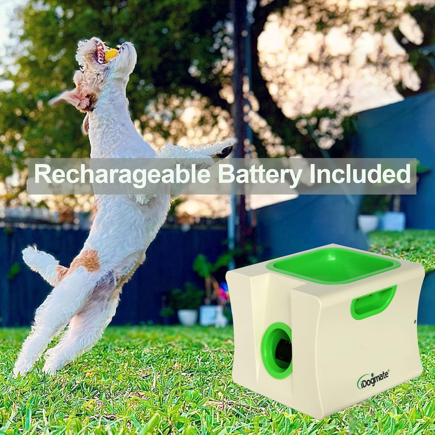 Small Interactive Ball Launcher with rechargeable, Automatic Dog Ball launcher for Mini Dog (Small Machine with 3 pcs 1.75inch Balls)