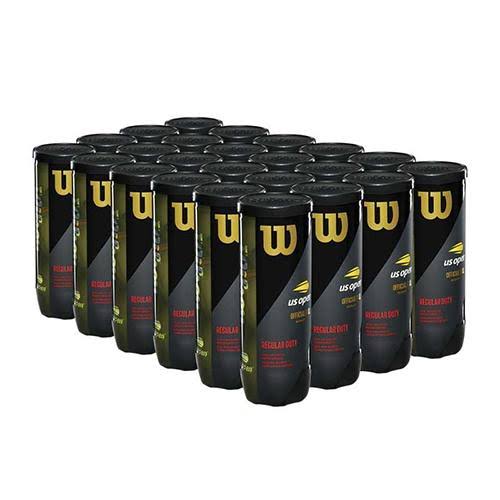 Wilson US Open Regular Duty Tennis Balls Case