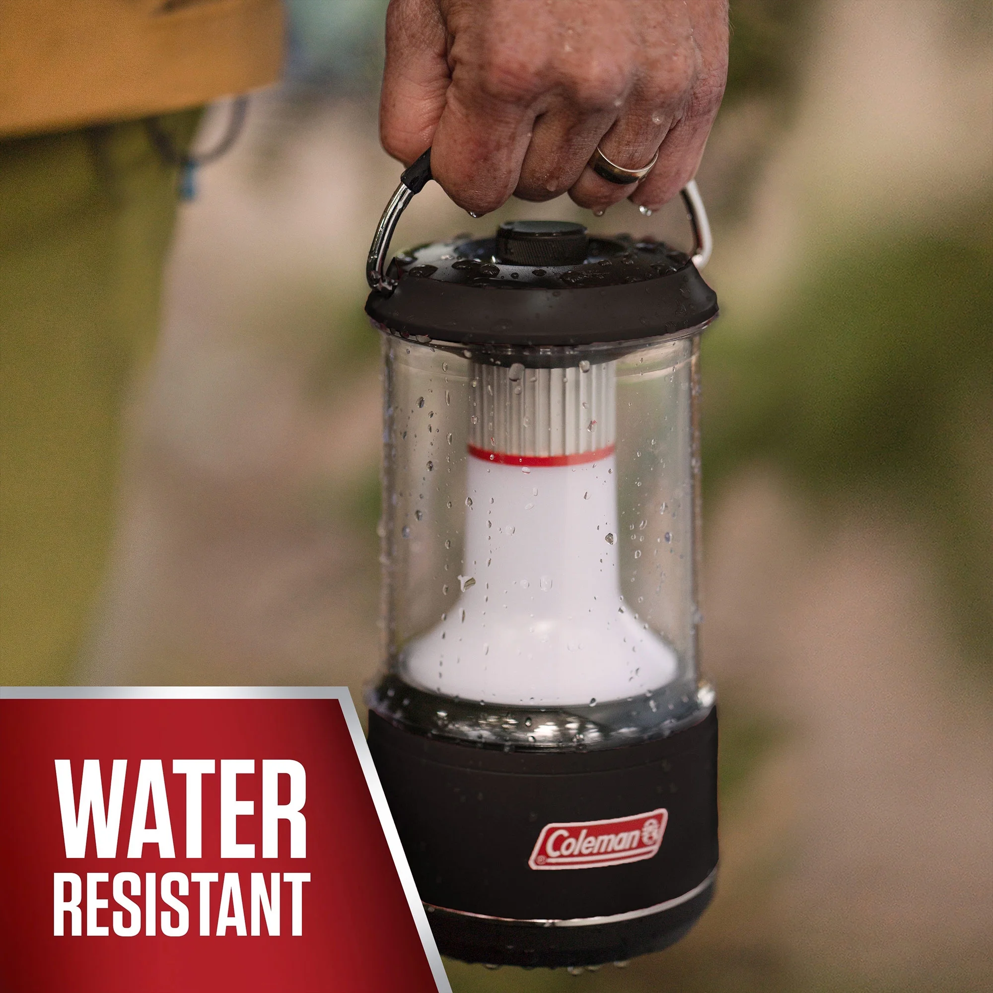 Coleman 800 Lumens LED Outdoor Camping Lantern w/BatteryGuard, Black,2 Pack