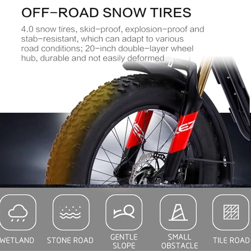20" x 4.0 Fat Tire,Electric Bike for Adults,750W Brushless Motor Ebike, 28MPH,48V/13Ah Removable Battery,7 Speed Gear,Up to 25 Miles for Ebikes , All-Terrain E Bike for Mountains, Snow, Sand, Road