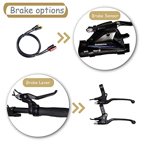 BBS02B 48V 750W Mid Drive Kit Motor with Battery (Optional), Display for BB 68-73mm DIY Electric Bike Conversion Kit for Mountain Road Ebike (44T+No Battery+Brake Lever, C965 Display)