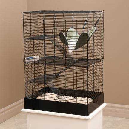 You &amp; Me Rat Manor Habitat 16.5 L X 22.5 W X 32 H - Pet Supplies online store