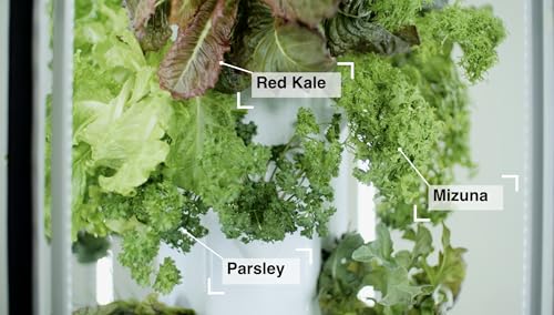 Indoor Hydroponic Growing System 2.0 – Grow 27 Lettuce, Vegetable, Herb & Fruiting Plants | includes Grow Tent, 150W LED Grow Lights, Fan & Wheels for Indoor Gardening