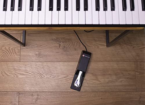 Alesis Recital – 88 Key Digital Piano Keyboard with Semi Weighted Keys, 2x20W Speakers, 5 Voices, Split, Layer and Lesson Mode, FX and Piano Lessons