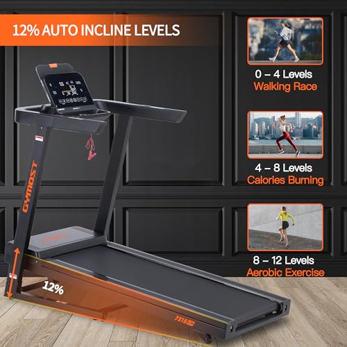 Treadmills for Home,Folding Treadmill with LCD Display,Incline Treadmill 300 350 LBS Weight Capacity for Walking and Running
