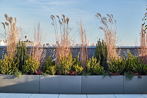 Belmont Rectangle Fiberglass Planter Box, Grey, L:36" x W:12" x H:12"