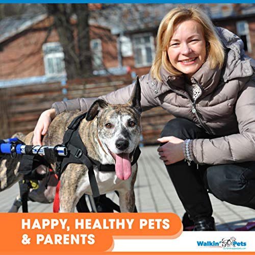 Walkin' Wheels Dog Wheelchair - for Large Dogs 70-180 Pounds - Veterinarian Approved - Dog Wheelchair for Back Legs