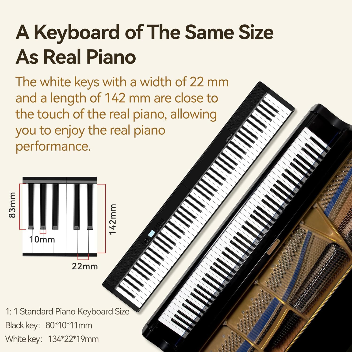 TERENCE Piano Keyboard, 88 Key Full Size Weighted Folding Piano Keyboard, Digital Keyboard Piano with 2X5W Speakers, Music Stand, Keyboard Stickers, Earphones and Sustain Pedal