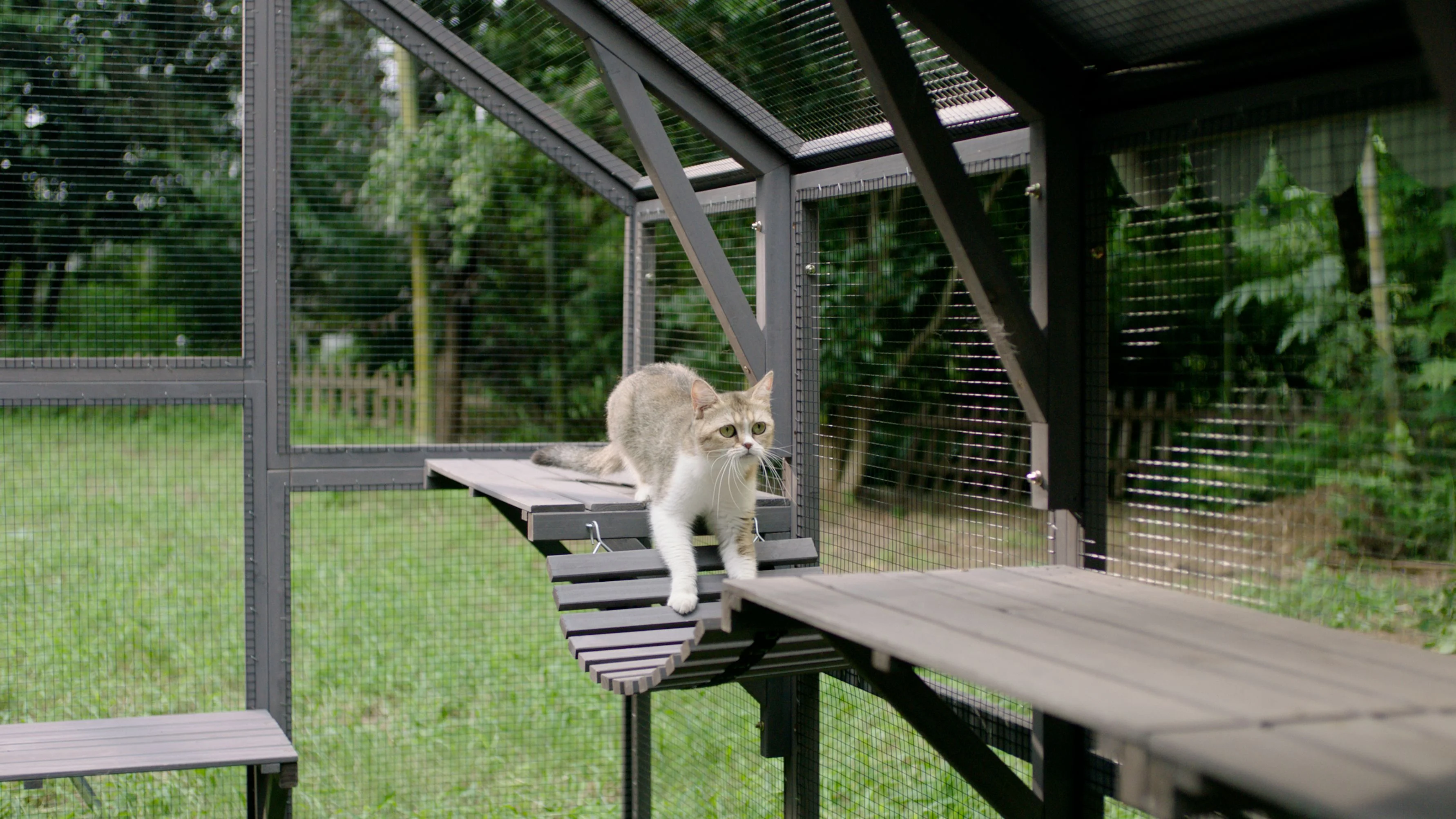 Morgete 110'' Extra Large Cat House Outdoor Walk-in Enclosure Wooden Catio Cage with Bridges, Platforms, Rest Rooms, Roof Cover