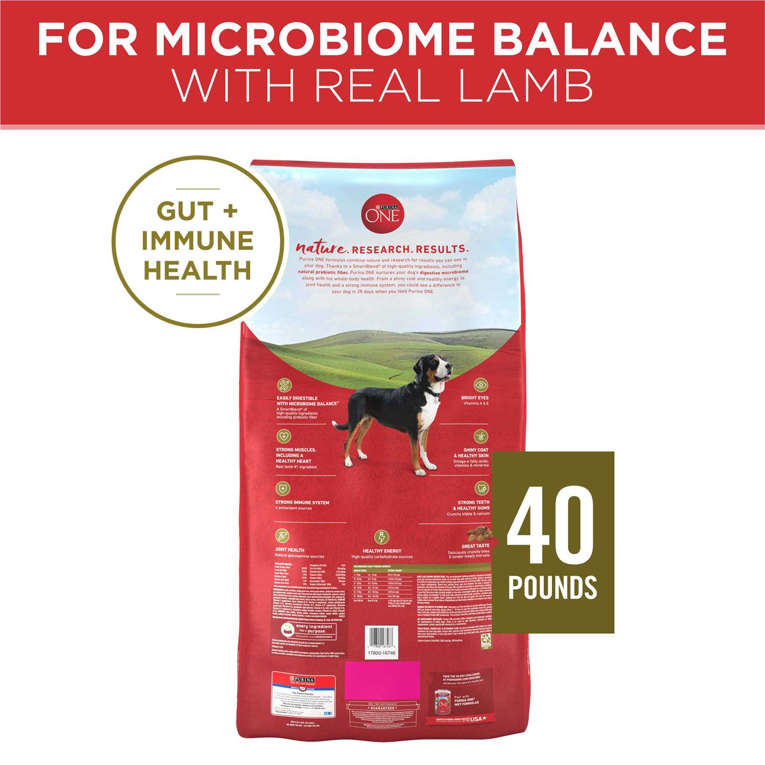 Purina ONE SmartBlend Lamb &amp; Rice Dry Dog Food - Pet Supplies online store