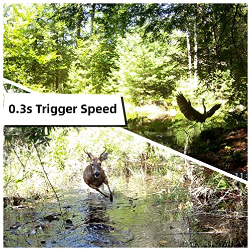 Trail Cameras 2 Pack 24MP 1080P HD, Waterproof Game Camera Motion Activated with Fast Trigger Time Infrared Night Vision, Hunting Camera for Outdoor Wildlife Monitoring