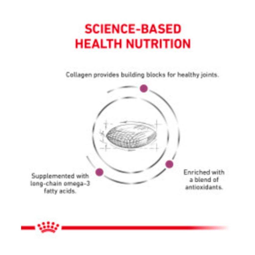 Royal Canin Veterinary Diet Canine Advanced Mobility Support Adult Dry Dog Food - Pet Supplies online store