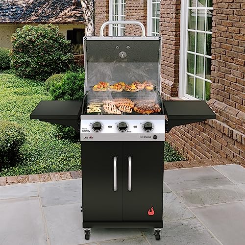 Char-Broil Performance Series Convective 2-Burner Cabinet Propane Gas Stainless Steel Grill - 463673519P1