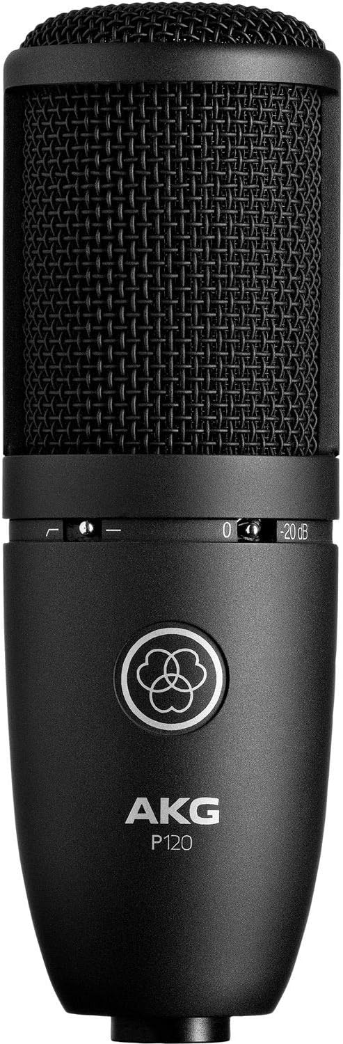 AKG P120 Cardioid Condenser Microphone (Black) with XLR-XLR Cable, Pop Filter & 10-Pack Straps Bundle