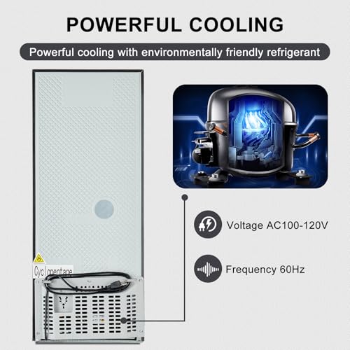 Small Refrigerator with Freezer Mini Fridge 4.0 Cu.ft Compact Small for Bedroom Dorm RV Apartment 2-Door Design Silver…
