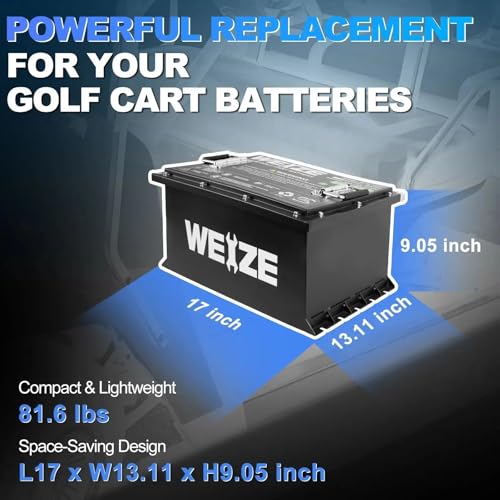 Weize 12V 100Ah TM LiFePO4 Lithium Battery, Built-in Smart BMS, Group 31 Deep Cycle Battery Perfect for Trolling Motor, RV, Solar, Marine, Overland/Van, and Off Grid Applications