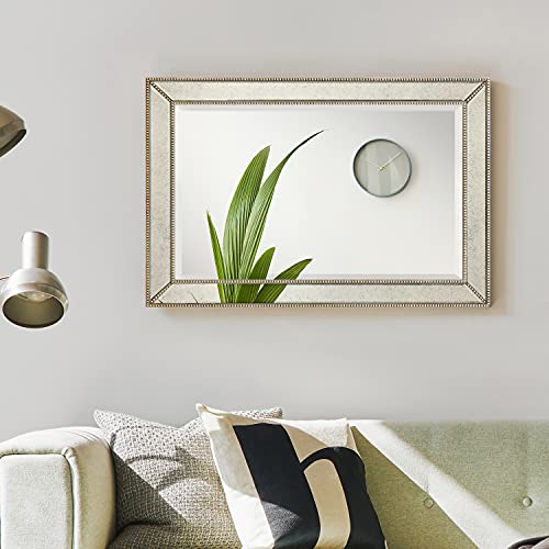 Empire Art Direct Solid Wood Frame Wall, 1"-Beveled Center Antique Mirror for Bathroom, Bedroom, Living Room, Ready to Hang, 24" x 54", Champagne