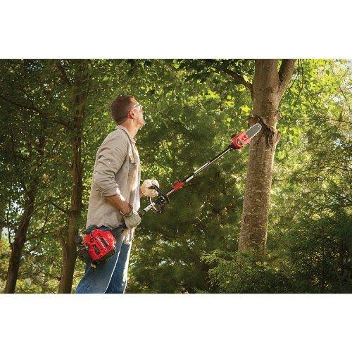 Trimmer Plus PS720 8-Inch Pole Saw with Bar and Chain