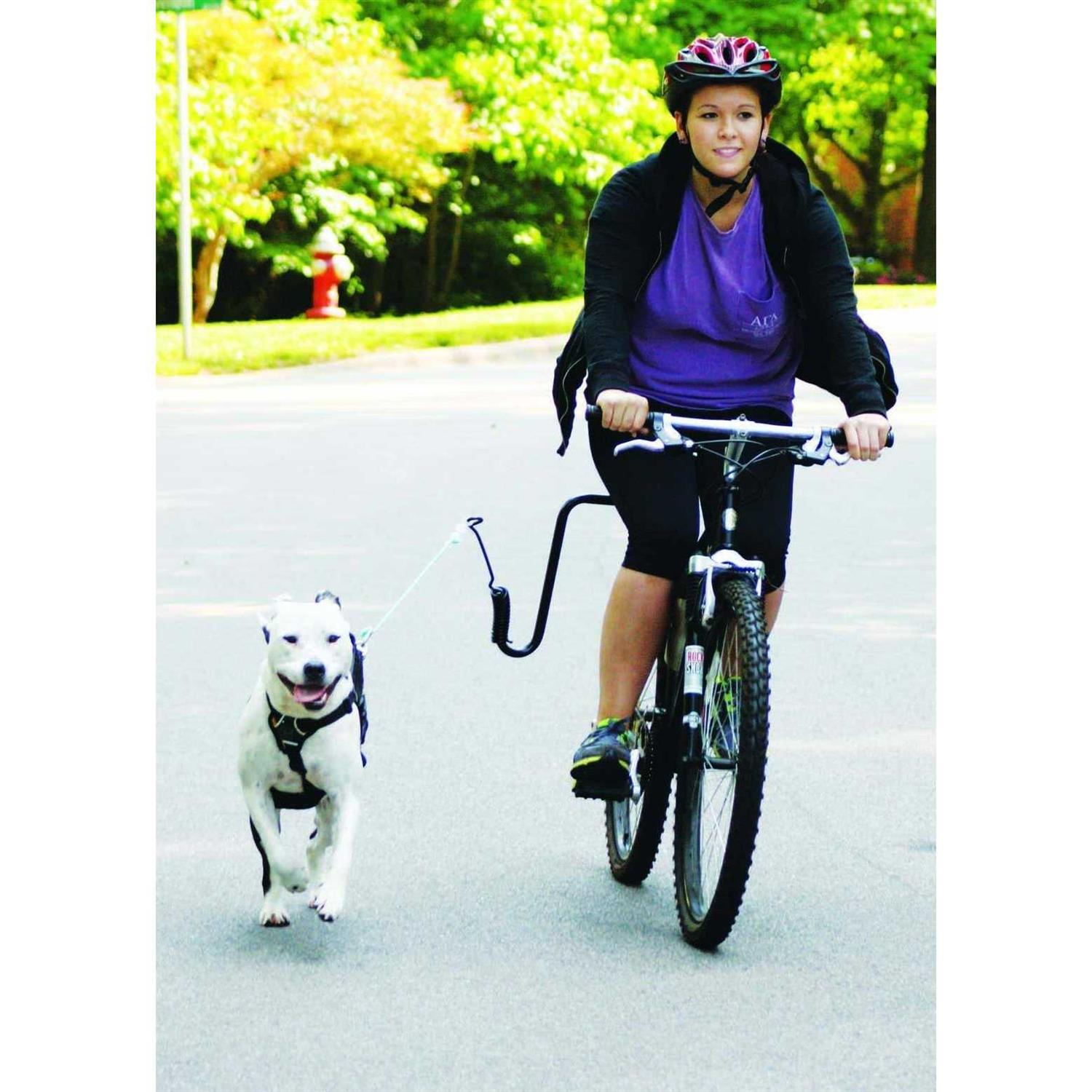 Springer Hands Free Dog Leash Bike Attachment Kit -Pet Exerciser for Running - Pet Supplies online store