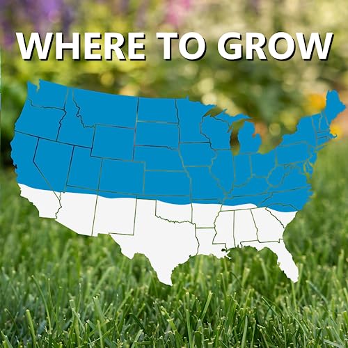 Jonathan Green (11980) Blue Panther Kentucky Bluegrass Grass Seed - Cool Season Lawn Seed (25 lb)