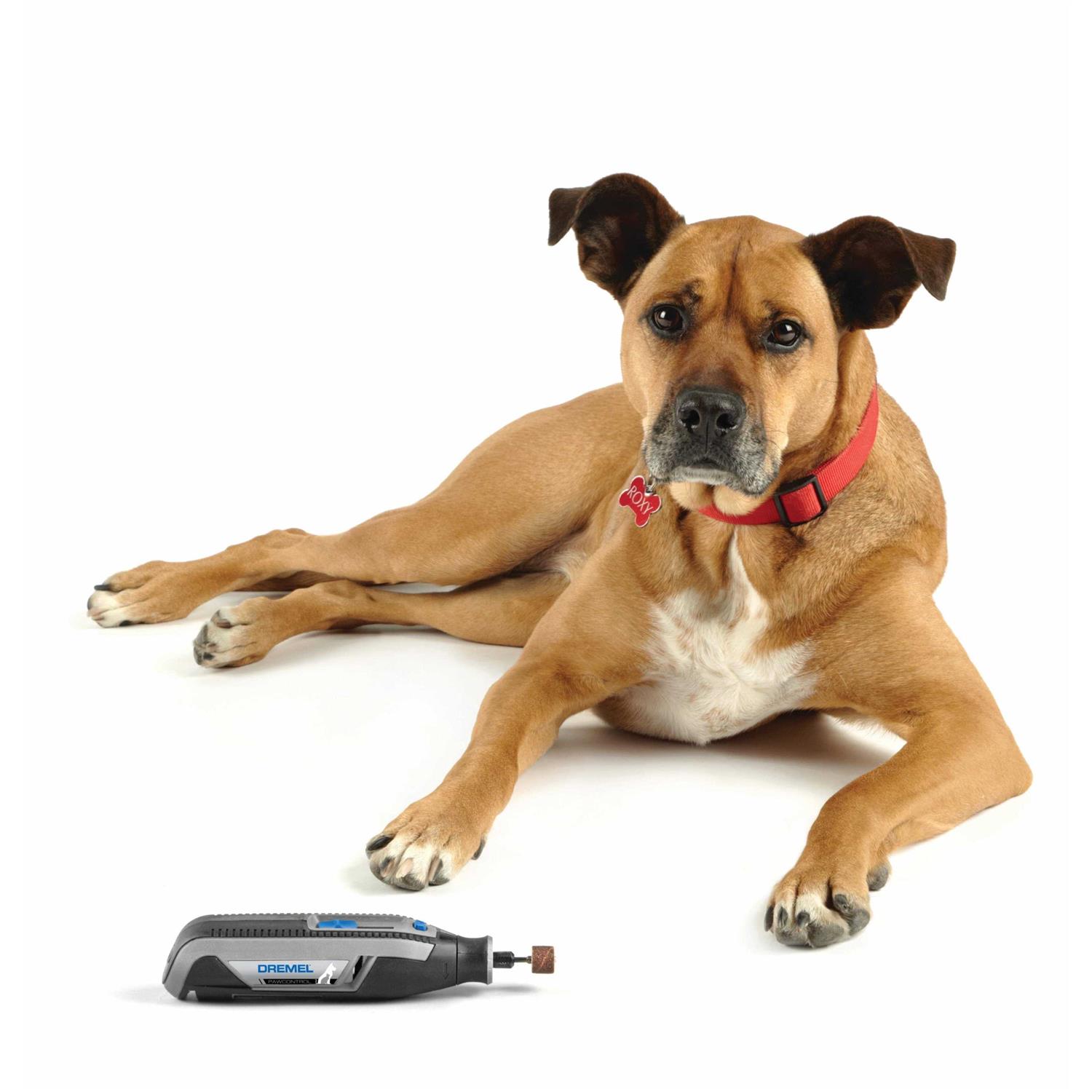 Dremel Pet Nail Grooming Kit 4 Volt Cordless - Pet Supplies online store