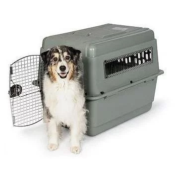 Petmate Sky Kennel IATA Complaint 40" XL Dog Crate Travel Pet Carriers for Dogs 70-90 lb, Gray
