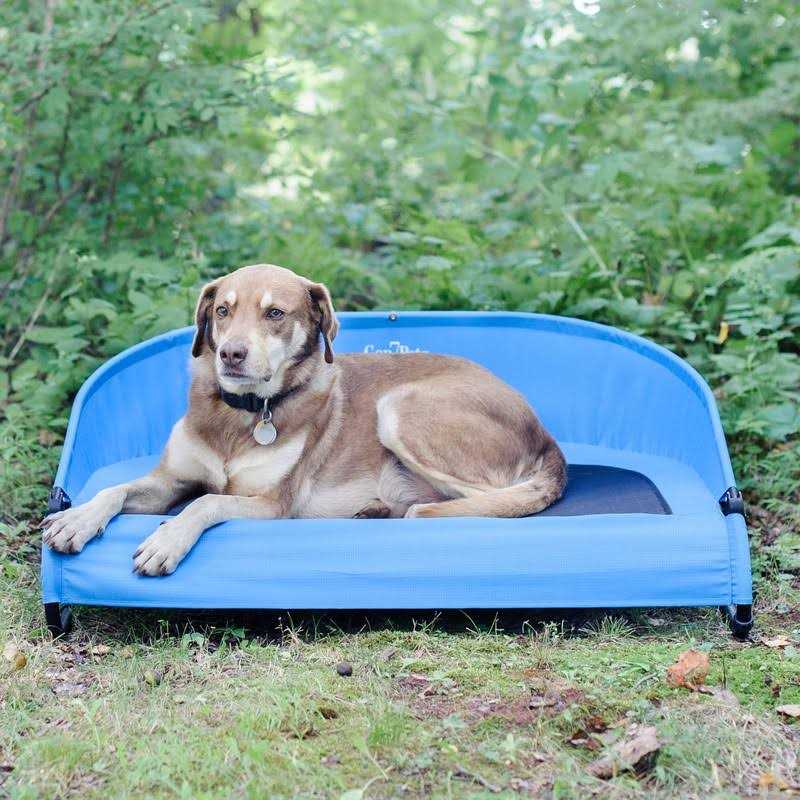 Gen7Pets Trailblazer Cool-Air Cot - Pet Supplies online store