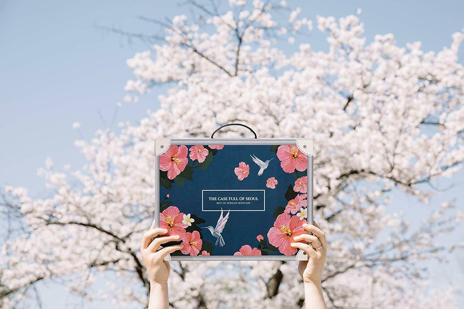 The Case Full of Seoul, Best of Korean Skincare, 11-Piece Set
