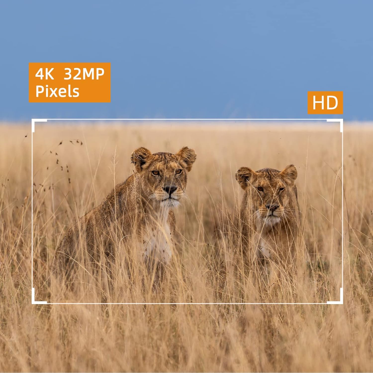 4K 32MP Trail Camera, 0.1s Trigger Motion Activated Game Hunting Camera with Night Vision 80ft No Glow Infrared, IP66 Waterproof Deer Wildlife Monitor Trail Cam, 120&deg; Wide View