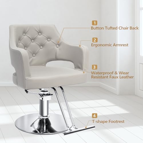 Hair Salon Chair Hydraulic Barber Chair for Home Barbershop, Styling Chair for Hair Stylist Heavy Duty, Hairdressing Beauty Spa Equipment