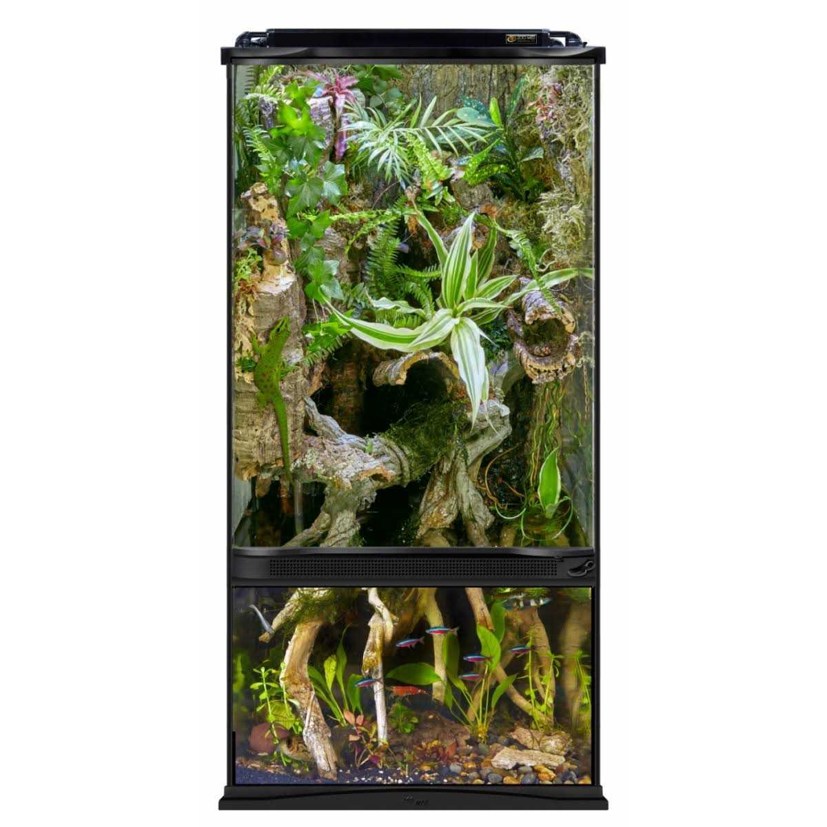 Zoo Med Paludarium Terrarium and Aquarium - Pet Supplies online store