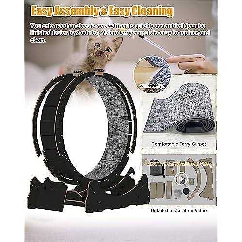 Large Cat Exercise Wheel 40 inch Solid Wood Cat Wheel Exerciser for Indoor Cats - Pet Supplies online store