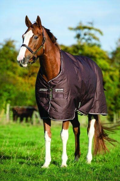 Amigo Bravo 12 Turnout Sheet