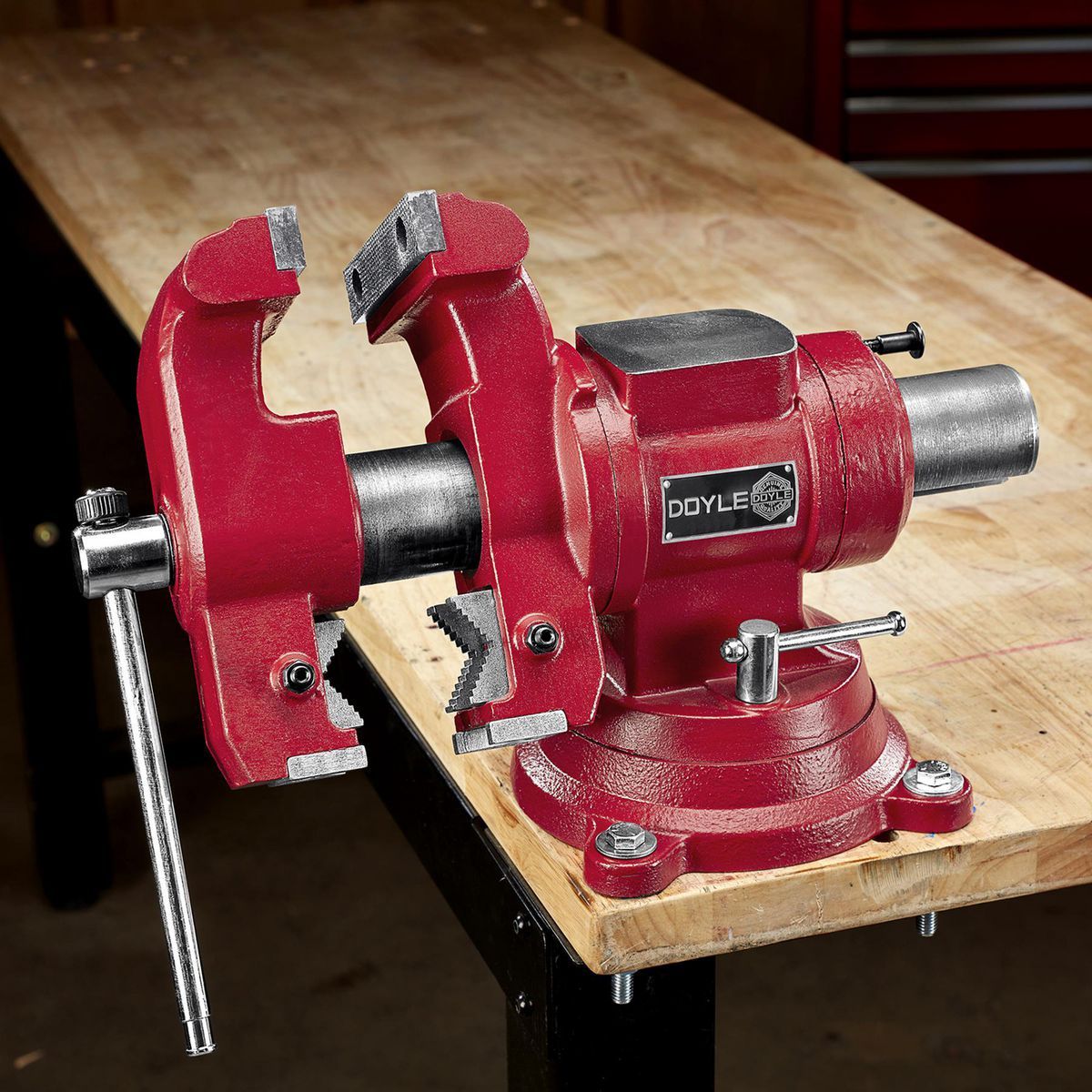 DOYLE 5 in.  Multipurpose Vise with Anvil