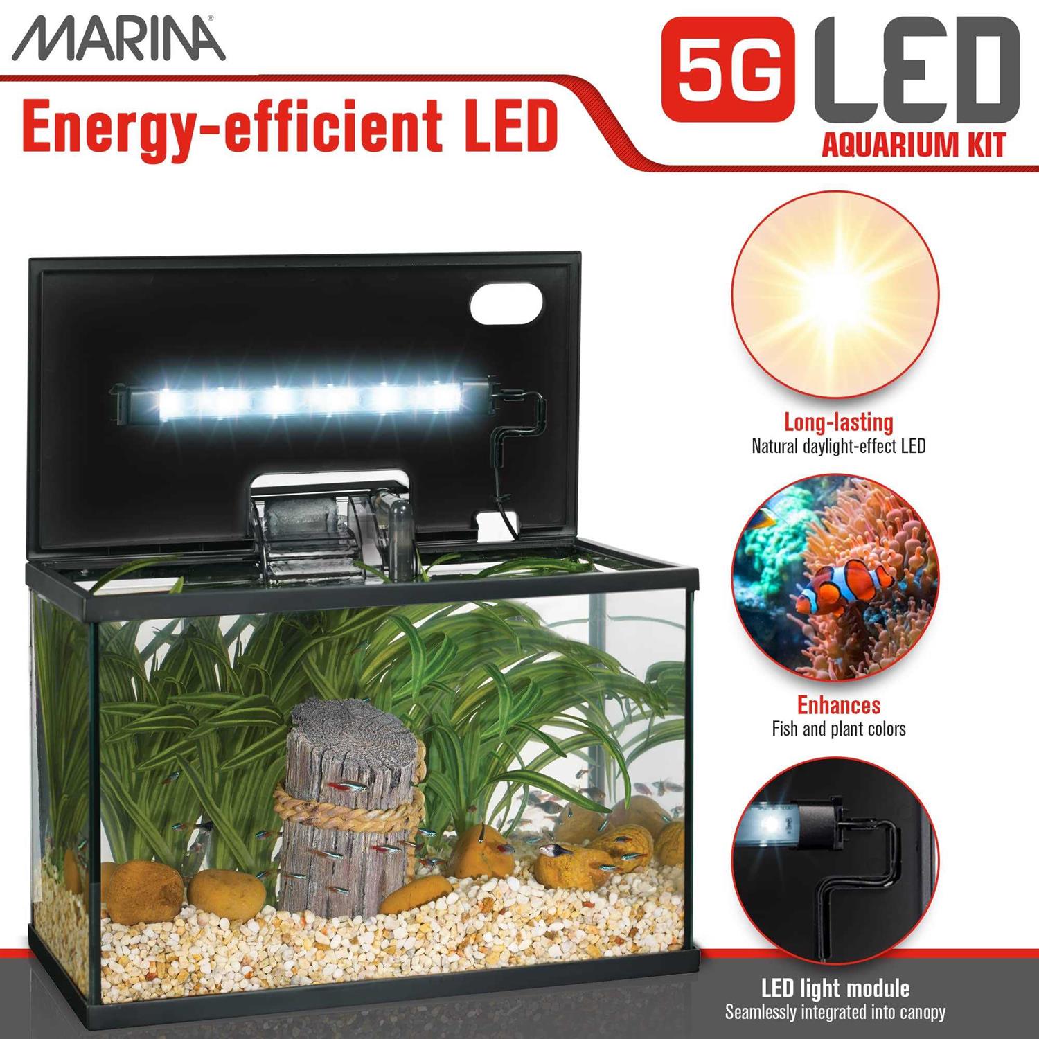 Marina 5G LED Glass Aquarium Kit - Pet Supplies online store