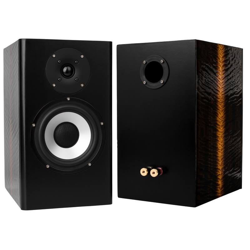 Parts Express Hitmaker MT Studio Monitor Speaker Kit with Knock-Down Cabinet