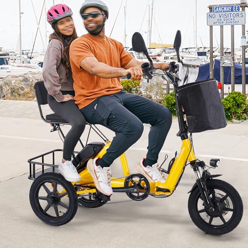 Electric Tricycle for Adults Foldable, 350W(Peak 500W) Folding Electric Trike, 3 Wheel Bikes for Adults with 480Wh Removable Battery, Trike Ebike with 2 Seats and Large Basket for Seniors Women