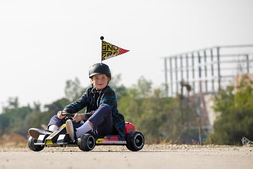 Razor Ground Force Elite - Electric Go-Kart for Ages 13+, Up to 14 MPH, Up to 40 Minutes of Continuous Use, 350-watt Hub-Driven Motor, Forward/Reverse Drive Switch, 36V Rechargeable Battery