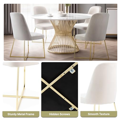Well Woven Rachelle Velvet Modern Accent Chairs Set of 2 - Ivory Comfy Seat with Gold Metal Legs - Perfect for Living Room, Bedroom, Office, Dining Room
