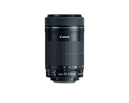 Canon EOS Rebel SL1 18.0 MP CMOS Digital Camera with 3-inch Touchscreen and Full HD Movie Mode (Body Only)