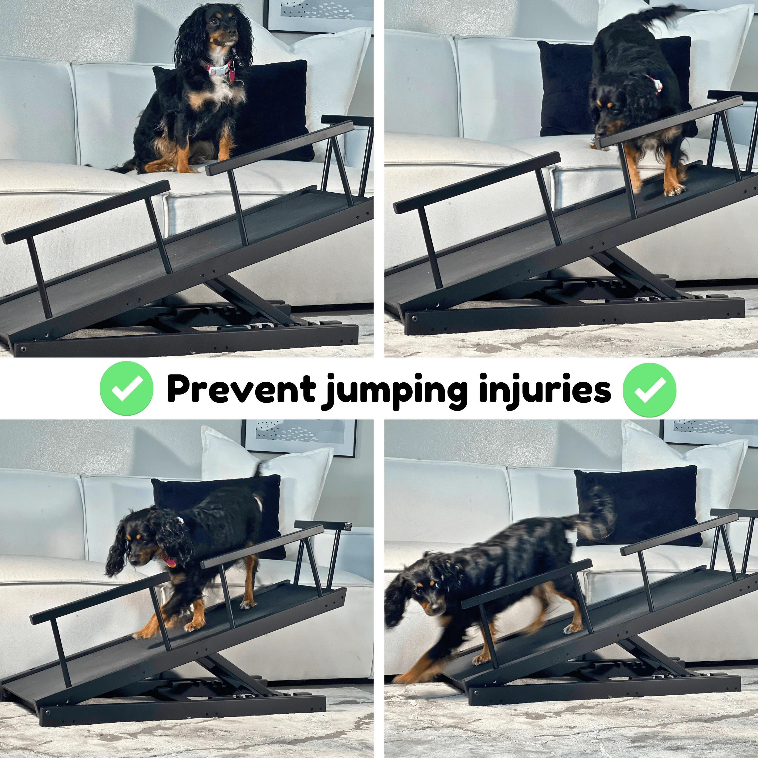 Dog Ramp for Couch - Adjustable 10" to 20" - Ramp for Dogs to Get On Bed - Pet Safe Paw Grip Anti Slip Doggie Puppy Stairs Small/Medium/Old Cats - Portable Car Steps - Ramps Small Dogs 80 lbs Max