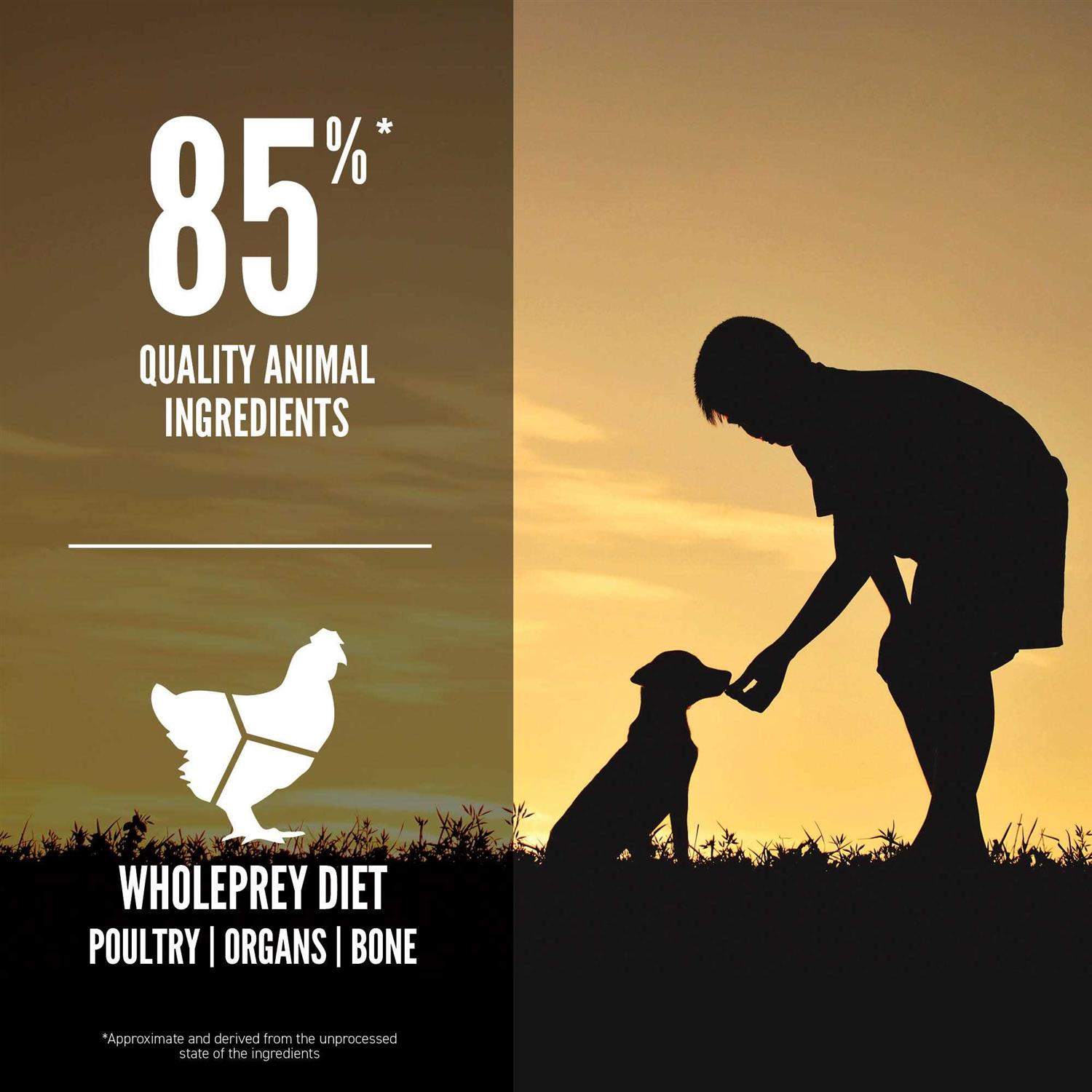Orijen Puppy Large Breed Dry Dog Food - Pet Supplies online store