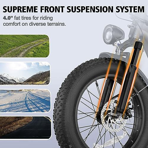 Electric Bike for Adults, 20" X4 Fat Tire Ebikes with Peak 1000W Brushless Motor, 48V 15AH Removable Battery, Step-Thru E Bicycle Bike up to 28MPH, 7-Speed, Knight